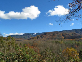 Seneca, 1 Bedroom, Sleeps 2, Private, View, Hot Tub, Pool Table, Grill